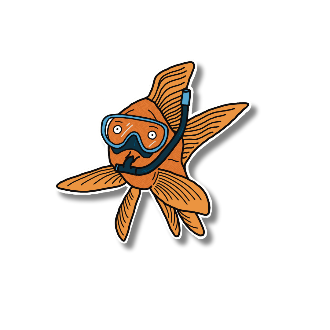 STAY CURIOUS - 1.8" x 1.7"